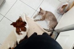 image-3