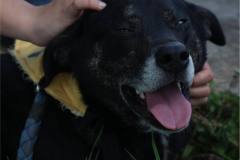 862288d2-f8b3-4956-bbc1-8684db7a42dc