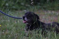 baa6fb13-1e3a-40f4-80c2-610a536c5051