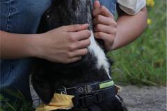 fdb7be6d-d3fc-43d7-aa43-016008acb2e9