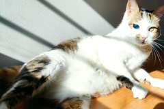 1_595858128_1272881121537442_6813280335520544728_n