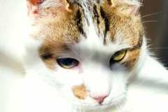 1_597164785_1272881108204110_4104187396530305203_n-1