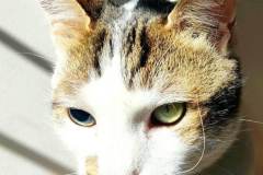 1_598168915_1272881171537437_6026350644974294326_n