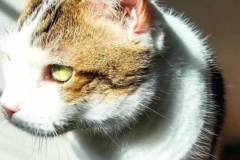 597887154_1272881111537443_5713168394262332607_n