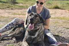 14c70e27-0e39-4cd8-9fcf-399aff40658e