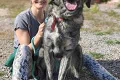 bcc3a88f-1441-4275-a4c7-69286c1ebe72