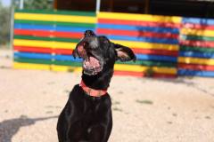 289099420_548739516733785_3807132664829443682_n