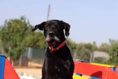 289507471_1008435526501247_1169420237851509838_n