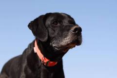 290096022_339627645017886_1949568734602367625_n