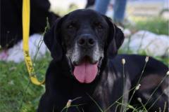 c9d477b1-9cb5-4219-bdd7-b567f5c6e763