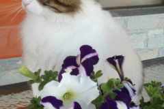 received_843079214239060