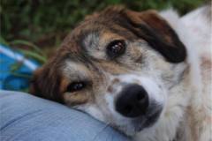 85fbf47b-d991-4c60-a1ad-bcab2ca739f0