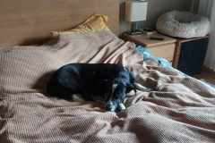 received_1099892017700830