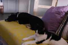 received_400709912459179