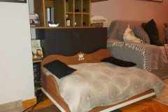 received_411520521341015