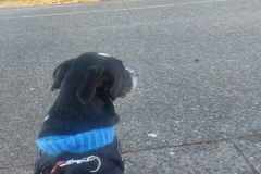 received_707487514787597