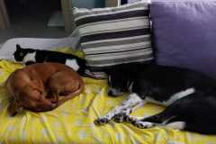 received_811961417355984