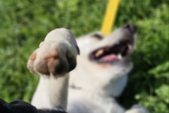 0-02-05-24a3f55b36b9d56ef82c741abb04adac8e1860531cd946258532b5cf978ef1ce_b02872747f1ae1b0