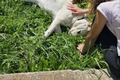 0-02-05-aef22ff5dc90e3d77d474c9c258b74071f66396d8d5b6dbfc355f16924ecd669_c927d1398a7a66