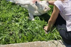 0-02-05-e18e73f087f1a888a535dfeb11f8eff9b06229f606eccaa48948d334a89a78bf_1dfa3923f784ccda