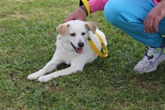 20230514122031_IMG_0429