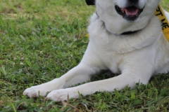 20230514122037_IMG_0434