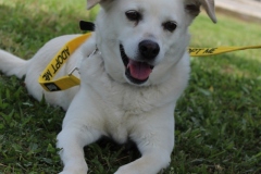 20230514122115_IMG_0441