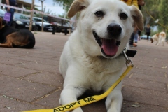 20230617132329_IMG_1370