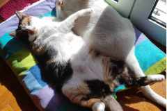 received_1134878747508665