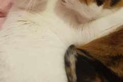 received_894166249019366