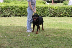 20230514122641_IMG_0476