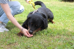 20230514122800_IMG_0491