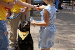 20230527105704_IMG_0902