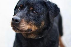 334221414_1445030902567980_2569534585005273377_n