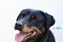 335075111_502753362066728_4057488142819921276_n