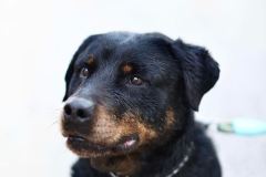 335082410_595094619160806_1911359470426903713_n