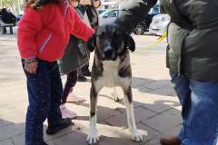 IMG_20260301_130515