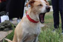 06df85c5-de20-43b3-aeab-6b849a268edf