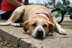 20230514120101_IMG_0320