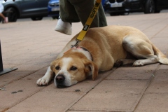 20230617114023_IMG_1109