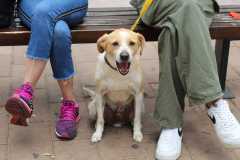 361615408_671322848359942_7497946455997126910_n