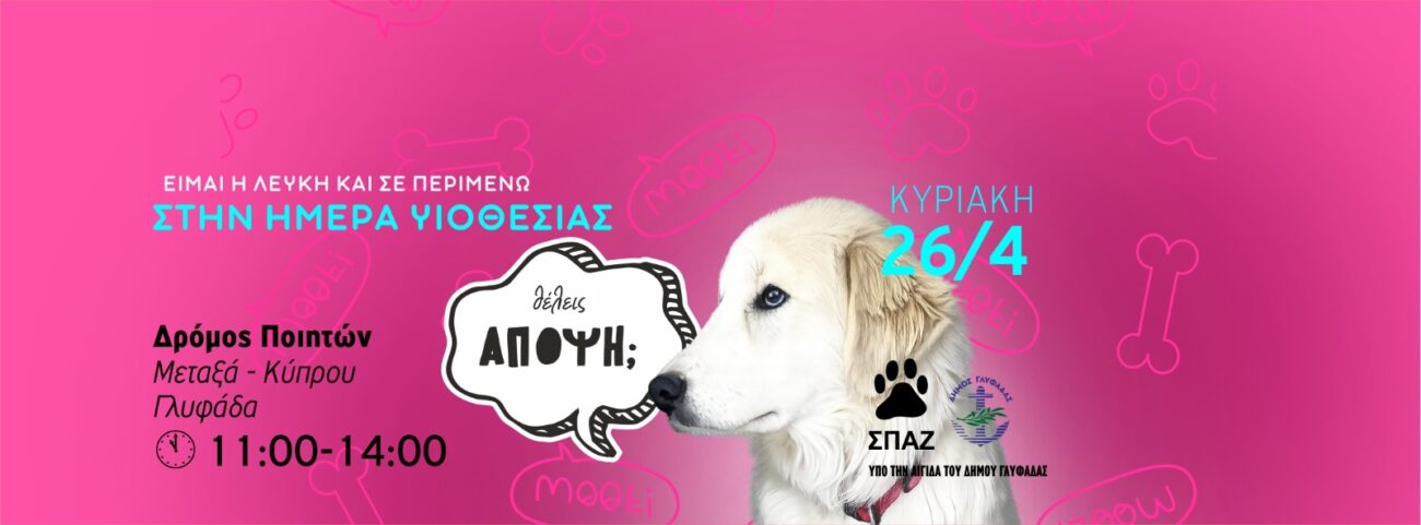 6d410e37-bb1a-45aa-8fcb-021711c83629